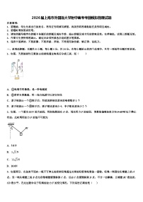 2026届上海市外国语大学附中高考考前模拟物理试题含解析