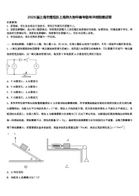 2026届上海市普陀区上海师大附中高考临考冲刺物理试卷含解析