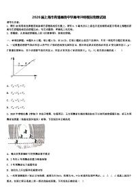 2026届上海市青浦高级中学高考冲刺模拟物理试题含解析