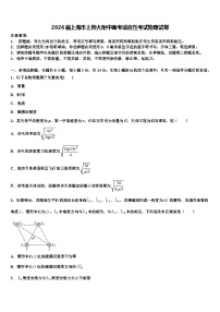 2026届上海市上师大附中高考适应性考试物理试卷含解析