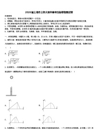 2026届上海市上师大附中高考压轴卷物理试卷含解析