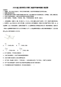 2026届上海市师范大学第二附属中学高考物理三模试卷含解析
