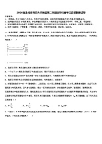 2026届上海市师范大学附属第二外国语学校高考仿真卷物理试卷含解析