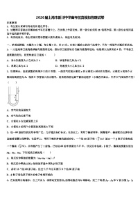 2026届上海市新川中学高考仿真模拟物理试卷含解析