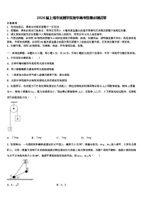 2026届上海市戏剧学院附中高考物理必刷试卷含解析