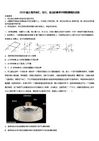 2026届上海市徐汇、松江、金山区高考冲刺物理模拟试题含解析