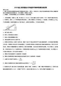 2026届上海外国语大学附属中学高考物理五模试卷含解析