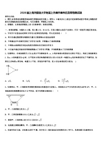 2026届上海外国语大学附属上外高中高考仿真卷物理试题含解析