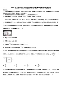 2026届上海外国语大学附属外国语学校高考物理倒计时模拟卷含解析