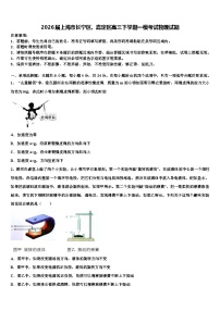 2026届上海市长宁区、嘉定区高三下学期一模考试物理试题含解析