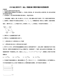 2026届上海市长宁、金山、青浦区高三第四次模拟考试物理试卷含解析