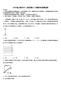 2026届上海市长宁、嘉定区高三二诊模拟考试物理试卷含解析