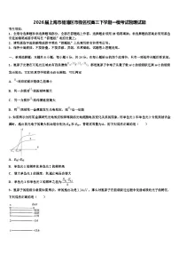 2026届上海市杨浦区市级名校高三下学期一模考试物理试题含解析