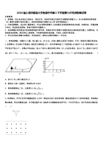 2026届上海外国语大学附属中学高三下学期第六次检测物理试卷含解析