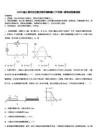 2026届上海市五校联合教学调研高三下学期一模考试物理试题含解析
