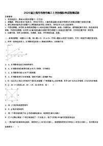 2026届上海市市西中高三3月份模拟考试物理试题含解析