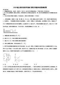 2026届上海市实验学校高三第五次模拟考试物理试卷含解析