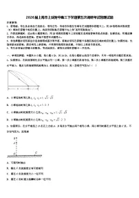 2026届上海市上戏附中高三下学期第五次调研考试物理试题含解析