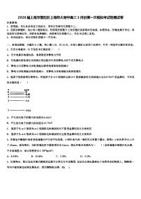 2026届上海市普陀区上海师大附中高三3月份第一次模拟考试物理试卷含解析(1)