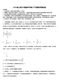 2026届上海市卢湾高级中学高三下学期联考物理试题含解析