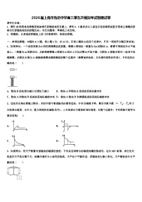 2026届上海市鲁迅中学高三第五次模拟考试物理试卷含解析
