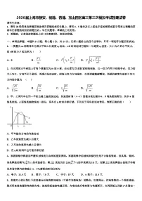 2026届上海市静安、杨浦、青浦、宝山四区高三第三次模拟考试物理试卷含解析