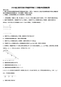 2026届上海市交通大学附属中学高三二诊模拟考试物理试卷含解析