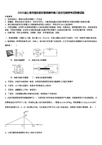 2026届上海市浦东新区普通高中高三适应性调研考试物理试题含解析
