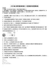 2026届上海市浦东新区高三3月份模拟考试物理试题含解析