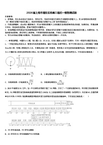 2026届上海市浦东实验高三最后一模物理试题含解析