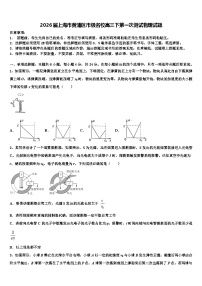 2026届上海市黄浦区市级名校高三下第一次测试物理试题含解析