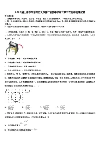 2026届上海市华东师范大学第二附属中学高三第三次测评物理试卷含解析