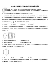 2026届上海市复旦中学高三适应性调研考试物理试题含解析(1)