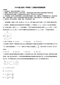 2026届上海市二中学高三二诊模拟考试物理试卷含解析