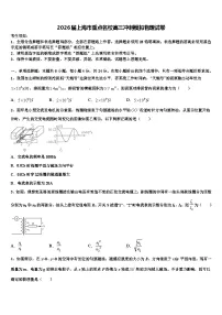 2026届上海市重点名校高三冲刺模拟物理试卷含解析