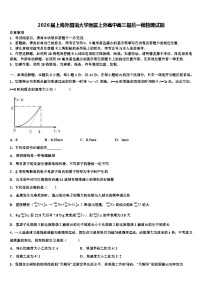 2026届上海外国语大学附属上外高中高三最后一模物理试题含解析