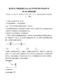 重庆市复旦中学教育集团2024-2025学年高二下学期开学定时作业物理试题（含答案）
