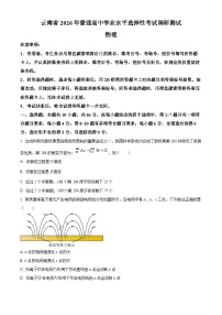 云南省2026届高三下学期调研测试物理试卷（Word版附解析）