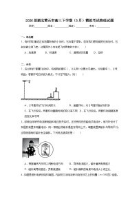2026年湖北黄石市高三下学期（3月）模拟考试物理试题（无答案）