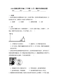 2026年湖北黄石市高三下学期（3月）模拟考试物理试题（无答案）