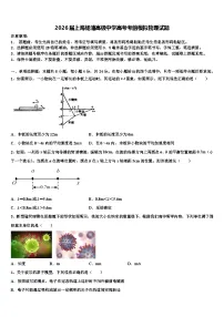 2026届上海杨浦高级中学高考考前模拟物理试题含解析
