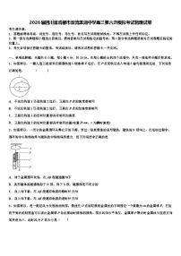 2026届四川省成都市双流棠湖中学高三第六次模拟考试物理试卷含解析