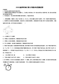 2026届深圳市高三第六次模拟考试物理试卷含解析