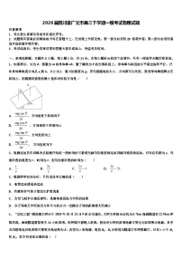 2026届四川省广元市高三下学期一模考试物理试题含解析