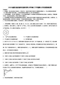 2026届四川省成都市成都市第七中学高三下学期第六次检测物理试卷含解析