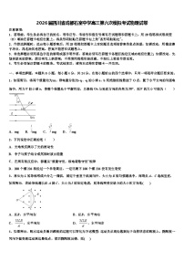 2026届四川省成都石室中学高三第六次模拟考试物理试卷含解析