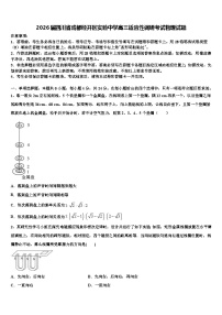 2026届四川省成都经开区实验中学高三适应性调研考试物理试题含解析