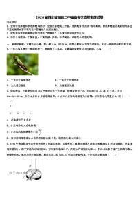 2026届四川省富顺二中高高考仿真卷物理试卷含解析