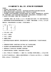 2026届四川省广安、眉山、内江、遂宁高三第三次测评物理试卷含解析