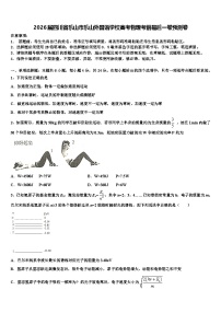 2026届四川省乐山市乐山外国语学校高考物理考前最后一卷预测卷含解析